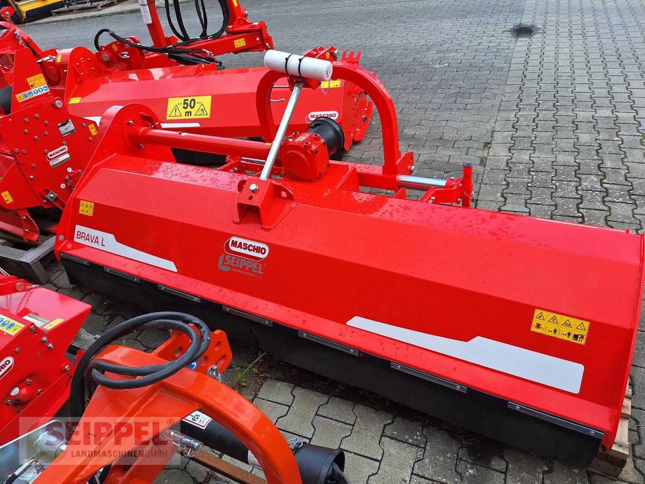 Mulcher des Typs Maschio BRAVA 250, Neumaschine in Groß-Umstadt (Bild 4)