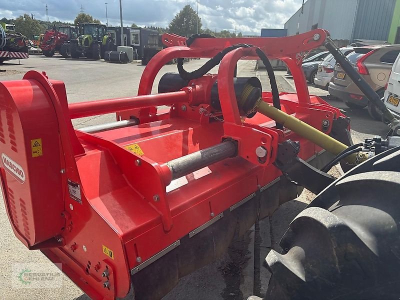 Mulcher typu Maschio Bufalo 280, Gebrauchtmaschine v Rittersdorf (Obrázek 5)