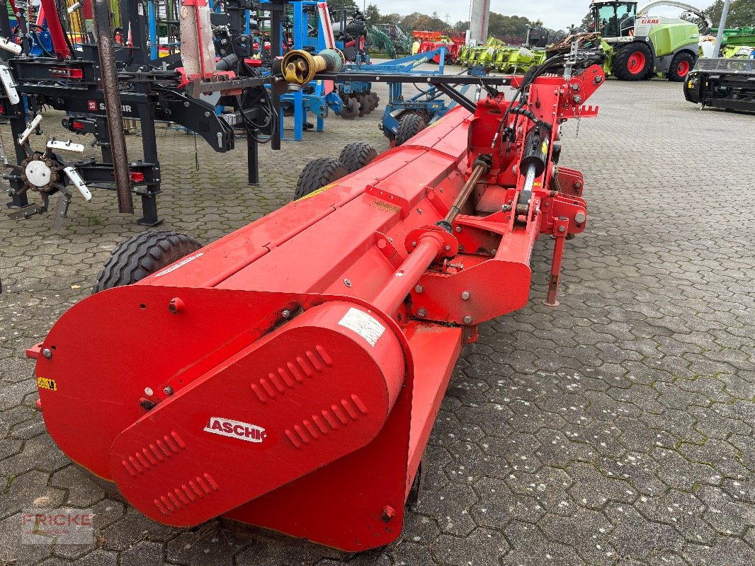 Mulcher typu Maschio Gemella 620, Gebrauchtmaschine v Bockel - Gyhum (Obrázek 6)