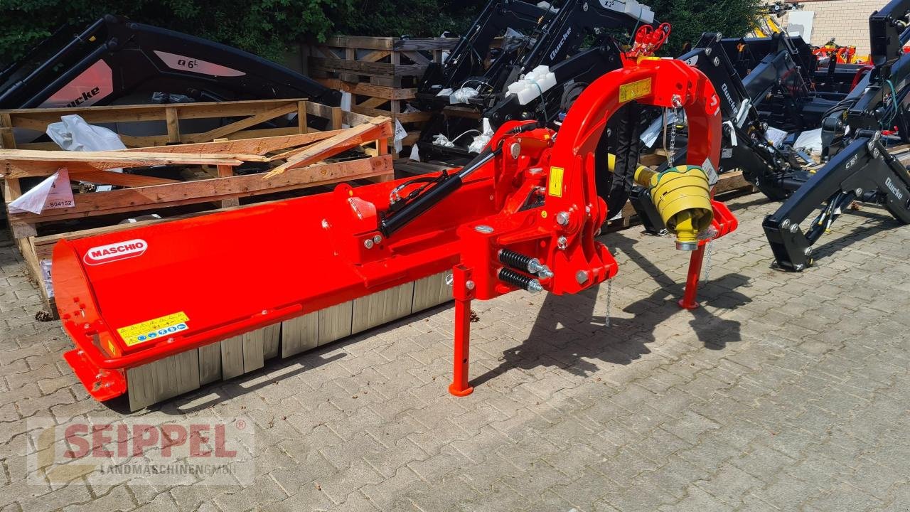Mulcher του τύπου Maschio GIRAFFA XXL 260 SE, Neumaschine σε Groß-Umstadt (Φωτογραφία 4)