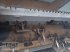 Mulcher tipa Müthing MU-E 180, Gebrauchtmaschine u Boxberg-Seehof (Slika 6)