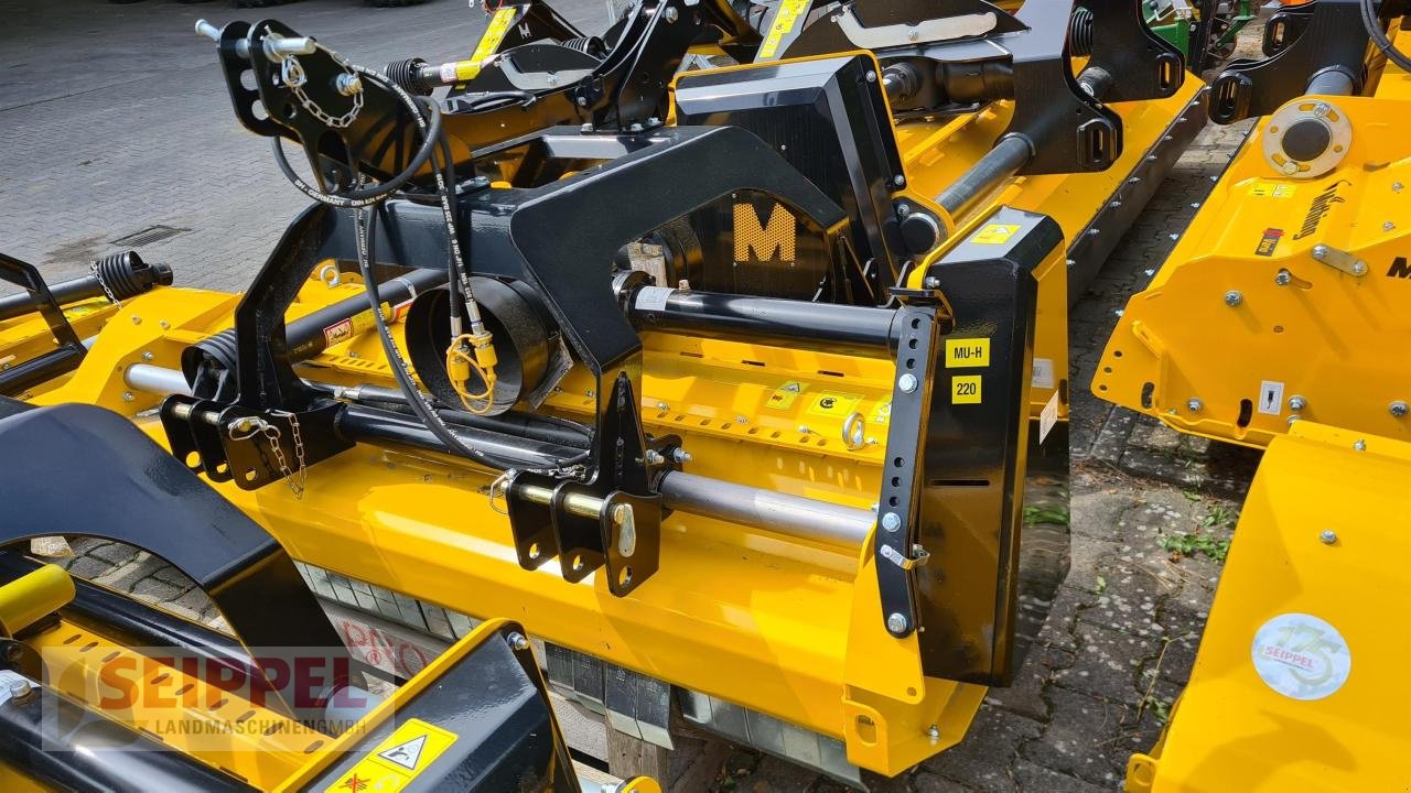 Mulcher tip Müthing MU-H 220 Vario F+H, Neumaschine in Groß-Umstadt (Poză 2)