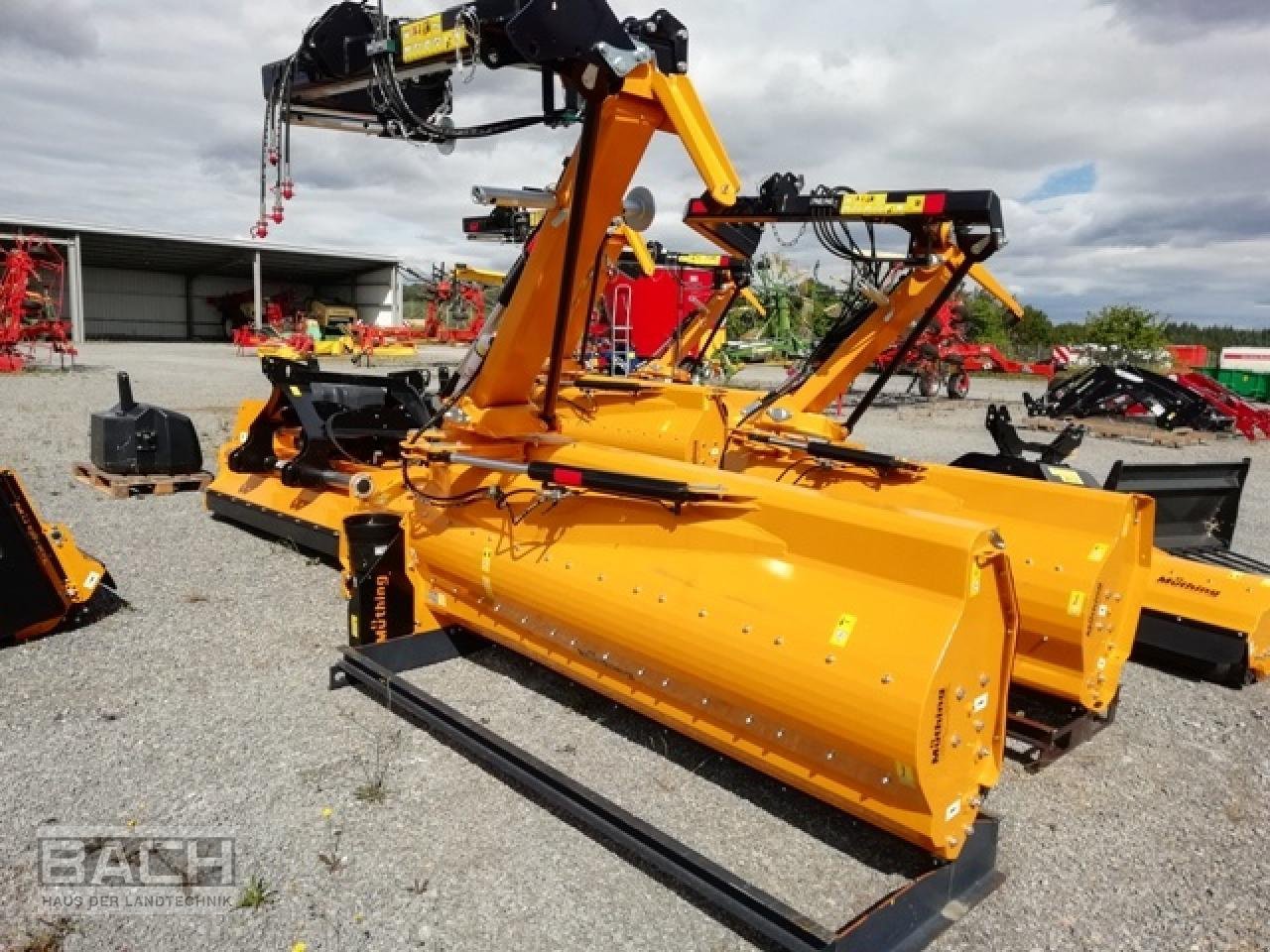 Mulcher του τύπου Müthing MU L/S 250, Neumaschine σε Boxberg-Seehof (Φωτογραφία 1)