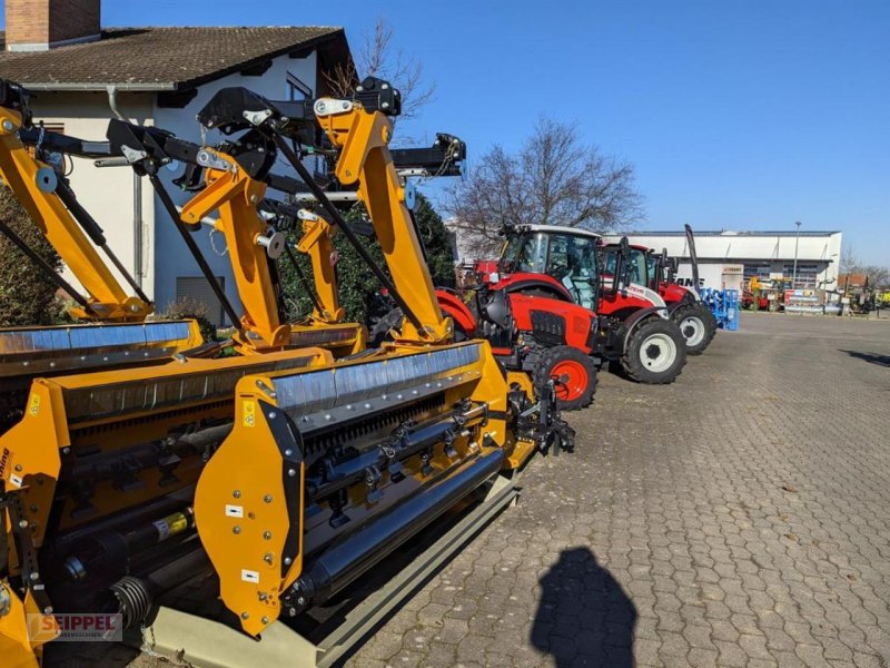 Mulcher of the type Müthing MU-L/S 250, Neumaschine in Groß-Umstadt (Picture 1)