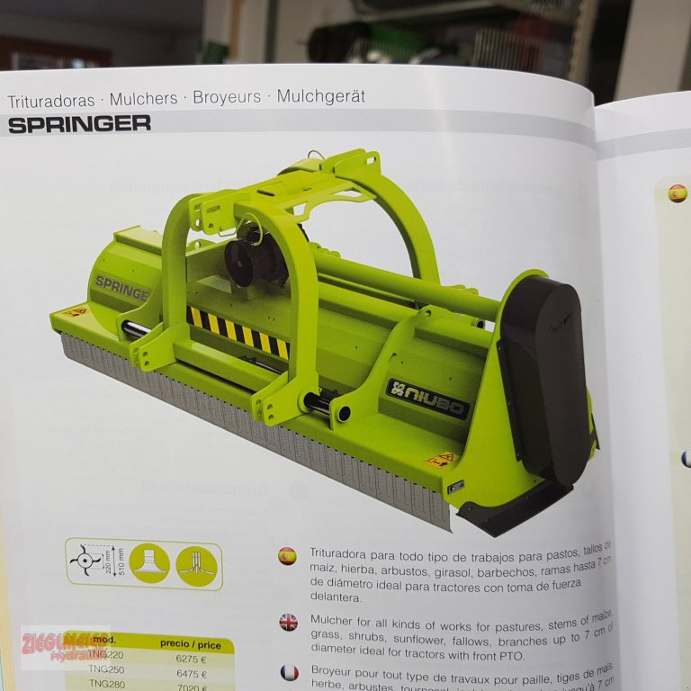 Mulcher des Typs Niubo Springer TNG 250, Neumaschine in Rottenburg a.d. Laaber (Bild 2)