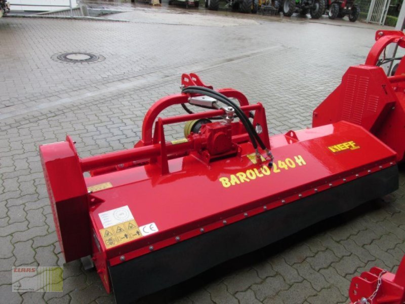 Omarv Barolo 240 H, Neumaschine (Bild 1) Mulcher des Typs Omarv Barolo 240 H, Neumaschine in Reinheim (Bild 1)