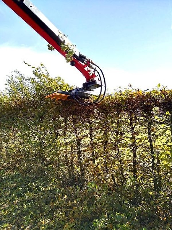 Mulcher of the type Omarv Böschungsmulcher Auslegemulcher Mulcher Schlegelmulcher, Gebrauchtmaschine in Schmallenberg (Picture 7)