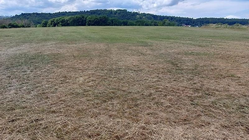 Mulcher typu Omarv Böschungsmulcher Auslegemulcher Schlegelmulcher Mulcher, Gebrauchtmaschine v Schmallenberg (Obrázek 7)