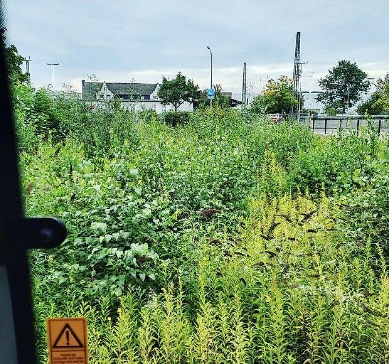 Mulcher tipa Omarv Böschungsmulcher Auslegemulcher Schlegelmulcher Mulcher, Gebrauchtmaschine u Schmallenberg (Slika 6)