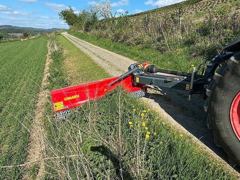 Mulcher typu Omarv Böschungsmulcher Schlegelmulcher Mulcher Torino 260 E, Gebrauchtmaschine w Schmallenberg (Zdjęcie 8)
