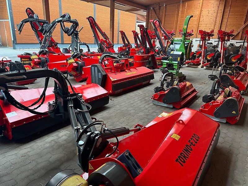 Mulcher typu Omarv Böschungsmulcher Schlegelmulcher Mulcher Torino 260 E, Gebrauchtmaschine w Schmallenberg (Zdjęcie 13)