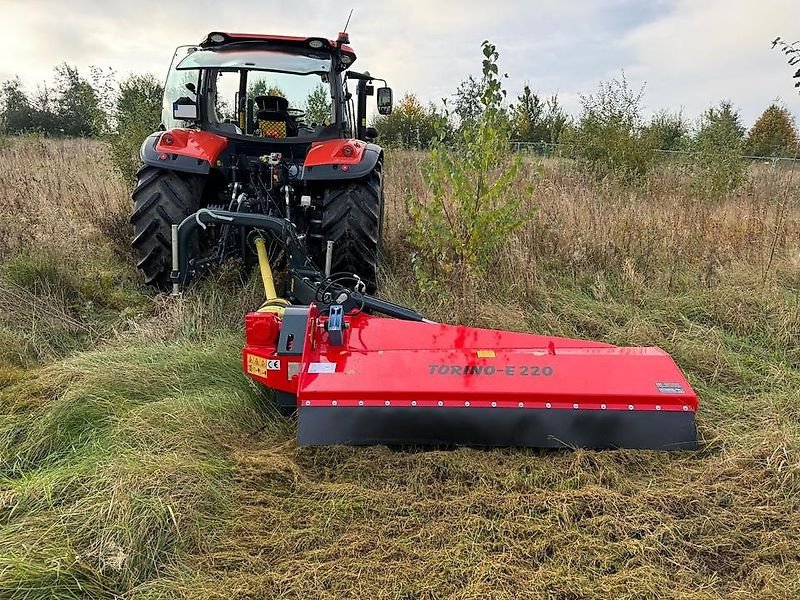 Mulcher typu Omarv Böschungsmulcher Schlegelmulcher Seitenmulcher Mulcher, Gebrauchtmaschine v Schmallenberg (Obrázek 3)