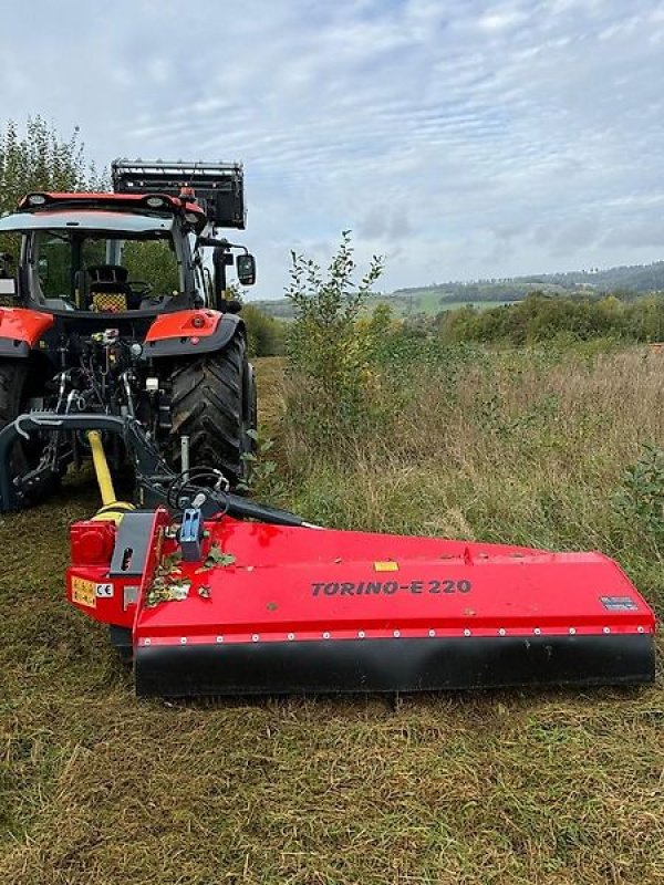 Mulcher of the type Omarv Böschungsmulcher Seitenmulcher Schlegelmulcher Mulcher, Gebrauchtmaschine in Schmallenberg (Picture 3)