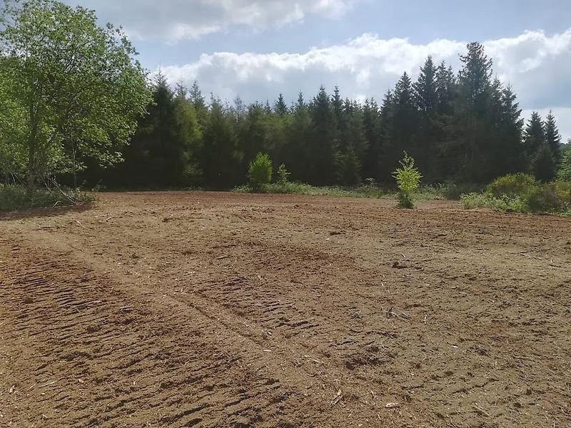 Mulcher typu Omarv FTR Plus Forstmulcher Mulcher Forstfräse Schlegelmulcher, Gebrauchtmaschine v Schmallenberg (Obrázek 7)