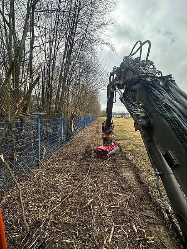 Mulcher a típus Omarv Mulchkopf Mulcher Baggermulchkopf Schlegelmulcher Mähkopf, Gebrauchtmaschine ekkor: Schmallenberg (Kép 2)
