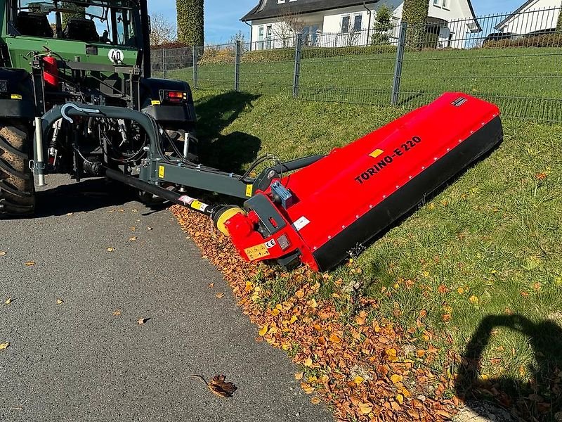 Mulcher Türe ait Omarv Schlegelmulcher Böschungsmulcher Seitenmulcher Mulcher, Gebrauchtmaschine içinde Schmallenberg (resim 3)