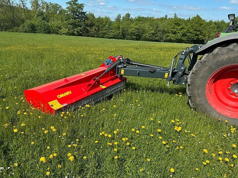 Mulcher of the type Omarv Schlegelmulcher Mulcher Böschungsmulcher Auslegemulcher, Gebrauchtmaschine in Schmallenberg (Picture 16)