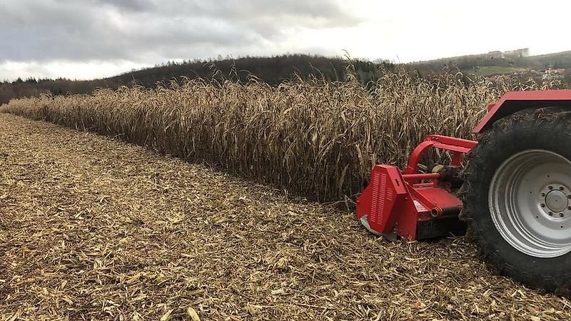 Mulcher tipa Omarv Schlegelmulcher Mulcher Mulchgerät Mäher, Gebrauchtmaschine u Schmallenberg (Slika 7)