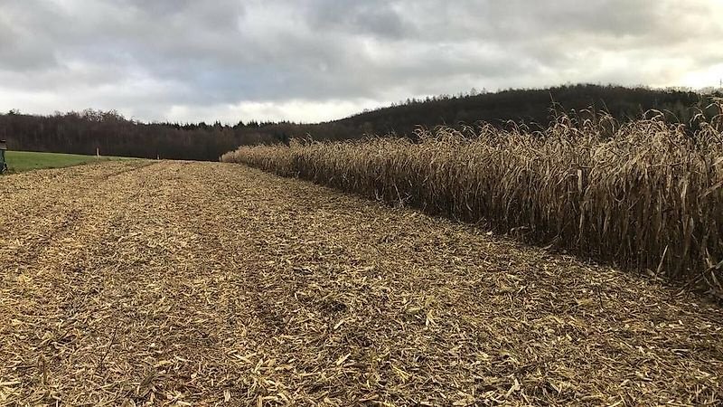 Mulcher tipa Omarv Schlegelmulcher Mulcher Mulchgerät Mäher, Gebrauchtmaschine u Schmallenberg (Slika 9)