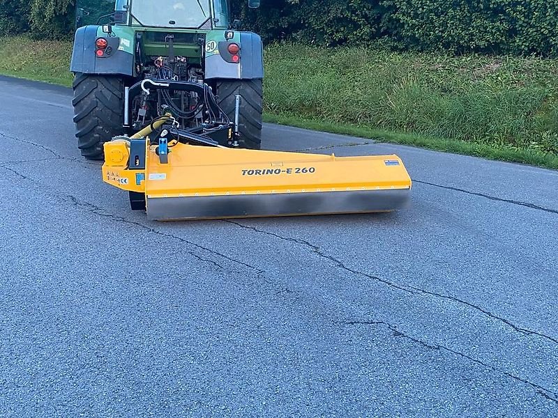 Mulcher типа Omarv Seitenmulcher Böschungsmulcher Schlegelmulcher Mulcher, Gebrauchtmaschine в Schmallenberg (Фотография 3)