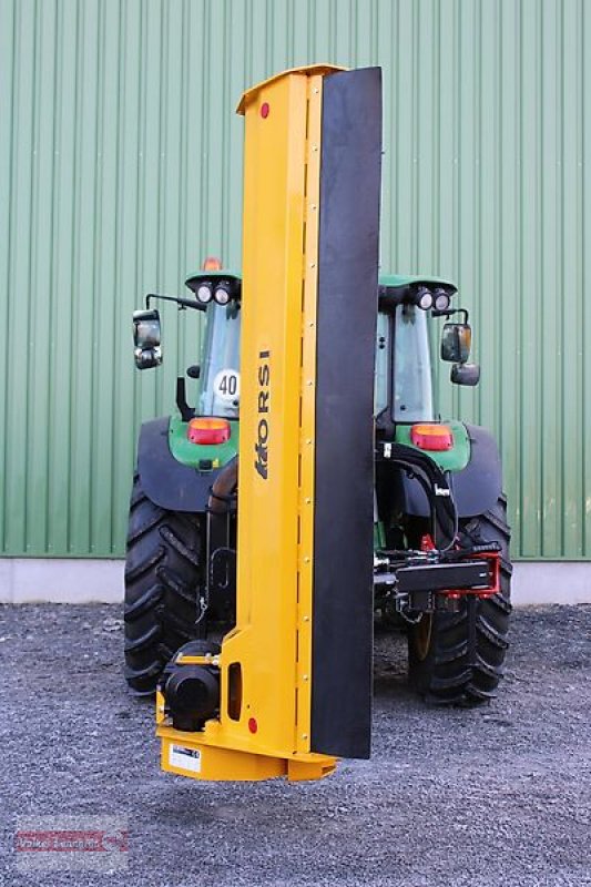 Mulcher του τύπου Orsi Primatist Plus GS 260 Seitenmulcher 2,60 m, Neumaschine σε Ostheim/Rhön (Φωτογραφία 9)