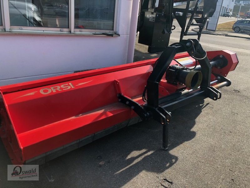 Mulcher Türe ait Orsi WHO 2800, Gebrauchtmaschine içinde Regen (resim 2)