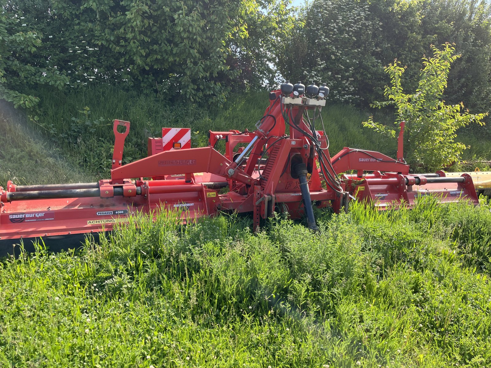 Mulcher of the type Sauerburger Pegasus 6300, Gebrauchtmaschine in Dannstadt-Schauernheim (Picture 4)