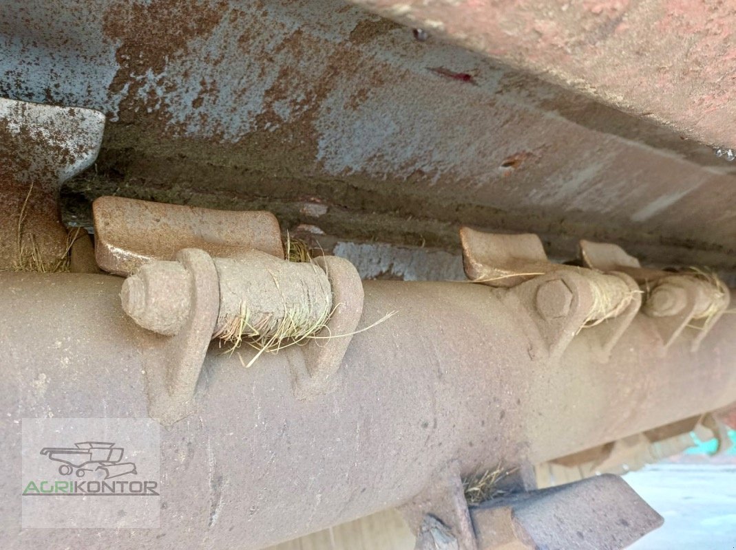 Mulcher Türe ait Sauerburger WM 4800 D, Gebrauchtmaschine içinde Liebenwalde (resim 2)