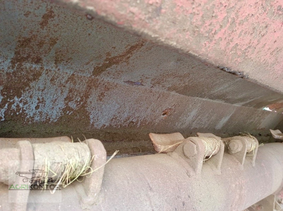 Mulcher Türe ait Sauerburger WM 4800 D, Gebrauchtmaschine içinde Liebenwalde (resim 3)