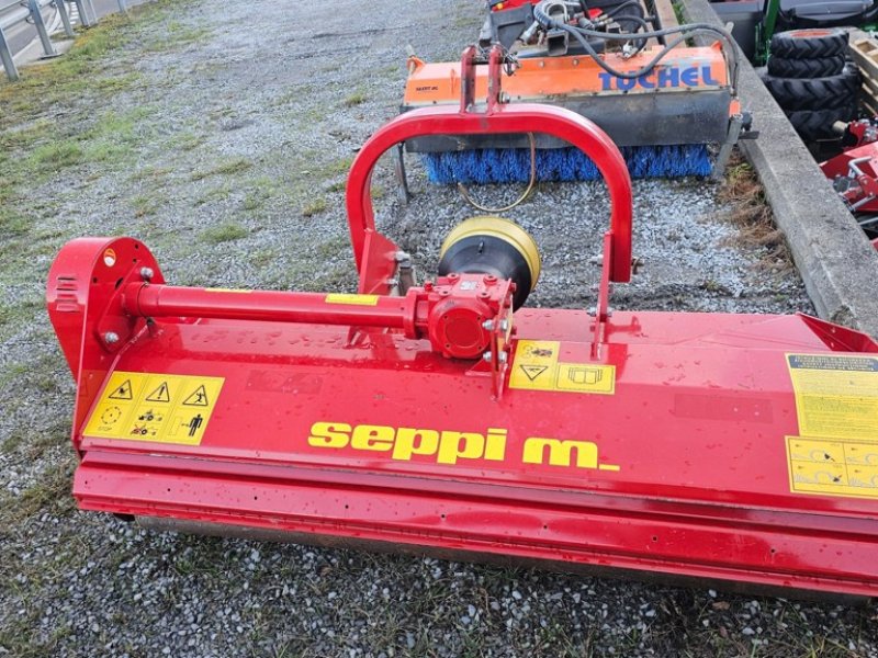 Mulcher du type Seppi 0LS/L 175, Gebrauchtmaschine en Altendorf (Photo 1)