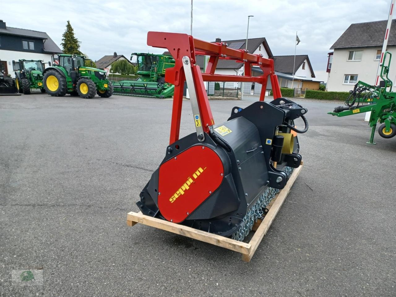 Mulcher tip Seppi MIDIFORST dt 250 (R), Neumaschine in Münchberg (Poză 4)