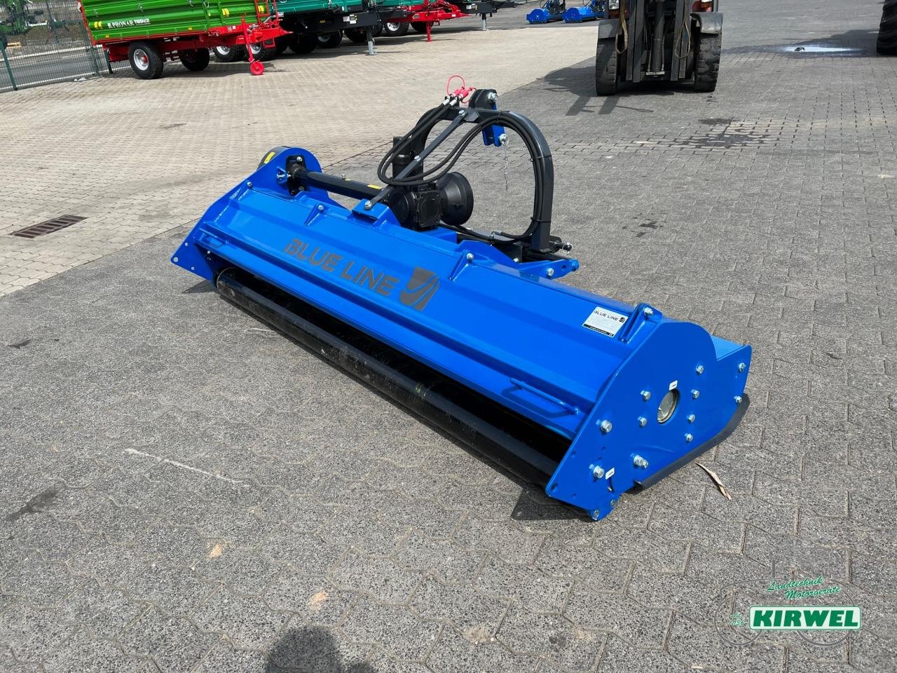 Mulcher типа Sonstige Blueline 250 H, Neumaschine в Blankenheim (Фотография 2)