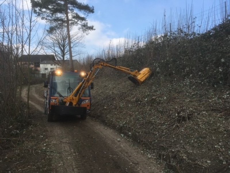 Mulcher типа Sonstige DZ 2 -40500, Gebrauchtmaschine в Buochs NW (Фотография 4)