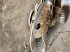 Mulcher del tipo Spearhead Multicut 620R, Gebrauchtmaschine In Liebenwalde (Immagine 10)