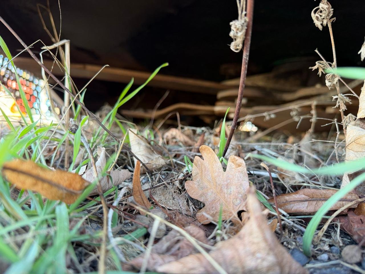 Mulcher typu Spearhead StarCut 500, Gebrauchtmaschine w Könnern (Zdjęcie 4)