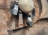 Mulcher del tipo Spearhead Stubble Master 730, Gebrauchtmaschine en Neubrandenburg (Imagen 11)