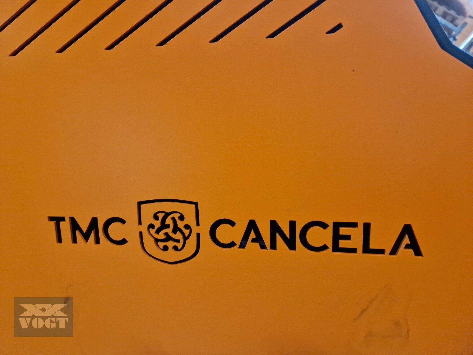 Mulcher za tip TMC Cancela TMH-250 Mulcher /Schlegelmulcher mit hydr. Heckklappe für Traktor-Lagergerät-, Neumaschine u Schmallenberg (Slika 10)