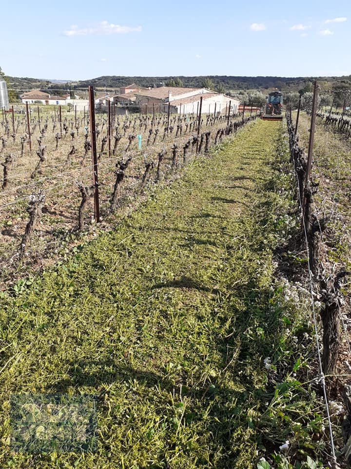 Mulcher del tipo TMC Cancela TPS-140D Mulcher /Schlegelmulcher für Obst- und Weinbau-Sonderangebot, Neumaschine en Schmallenberg (Imagen 15)