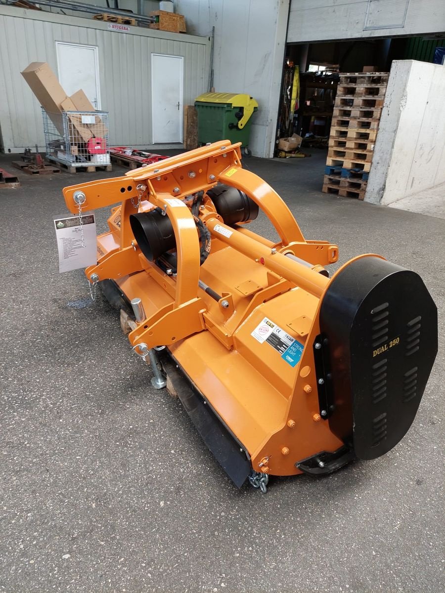 Mulchgerät & Häckselgerät Türe ait Berti Dual 250, Neumaschine içinde Bergheim (resim 3)