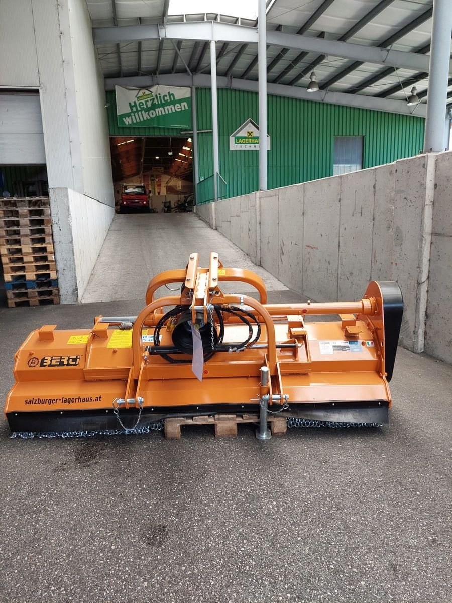 Mulchgerät & Häckselgerät Türe ait Berti Dual 250, Neumaschine içinde Bergheim (resim 10)