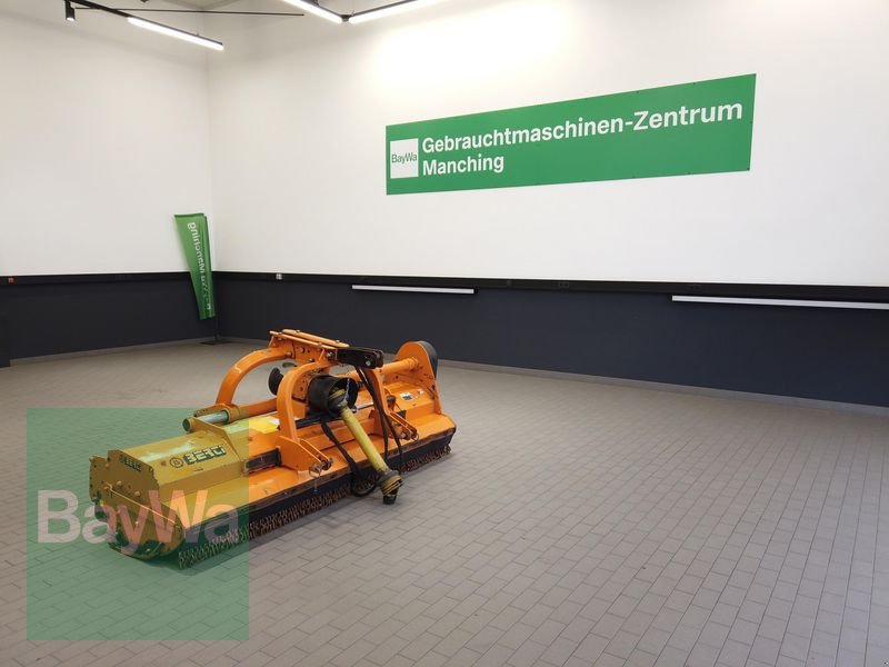 Mulchgerät & Häckselgerät des Typs Berti DUAL 250, Gebrauchtmaschine in Manching (Bild 1)