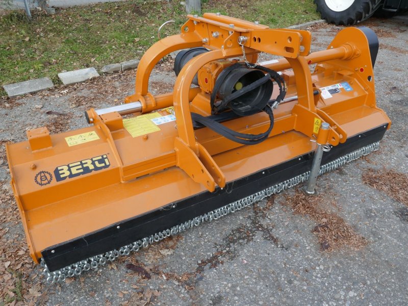 Mulchgerät & Häckselgerät typu Berti Dual 250, Gebrauchtmaschine v Villach (Obrázek 1)