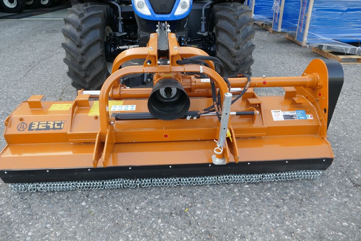 Mulchgerät & Häckselgerät des Typs Berti Dual 250, Gebrauchtmaschine in Villach (Bild 1)