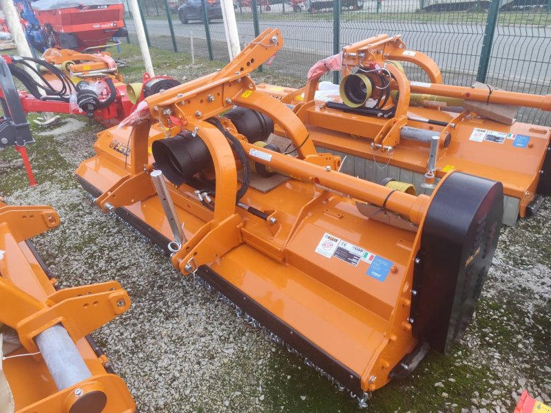 Mulchgerät & Häckselgerät za tip Berti DUAL 280, Gebrauchtmaschine u Le Horps (Slika 1)