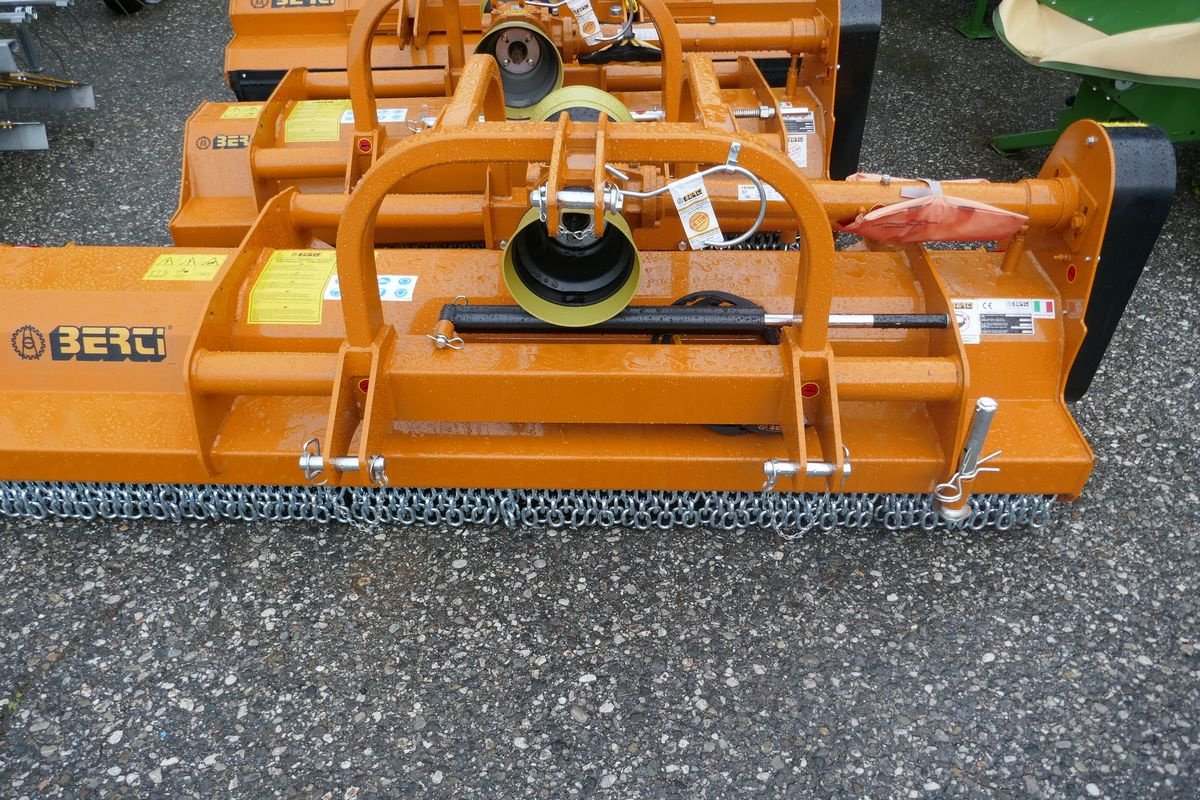 Mulchgerät & Häckselgerät des Typs Berti EKR/S 250, Gebrauchtmaschine in Villach (Bild 9)