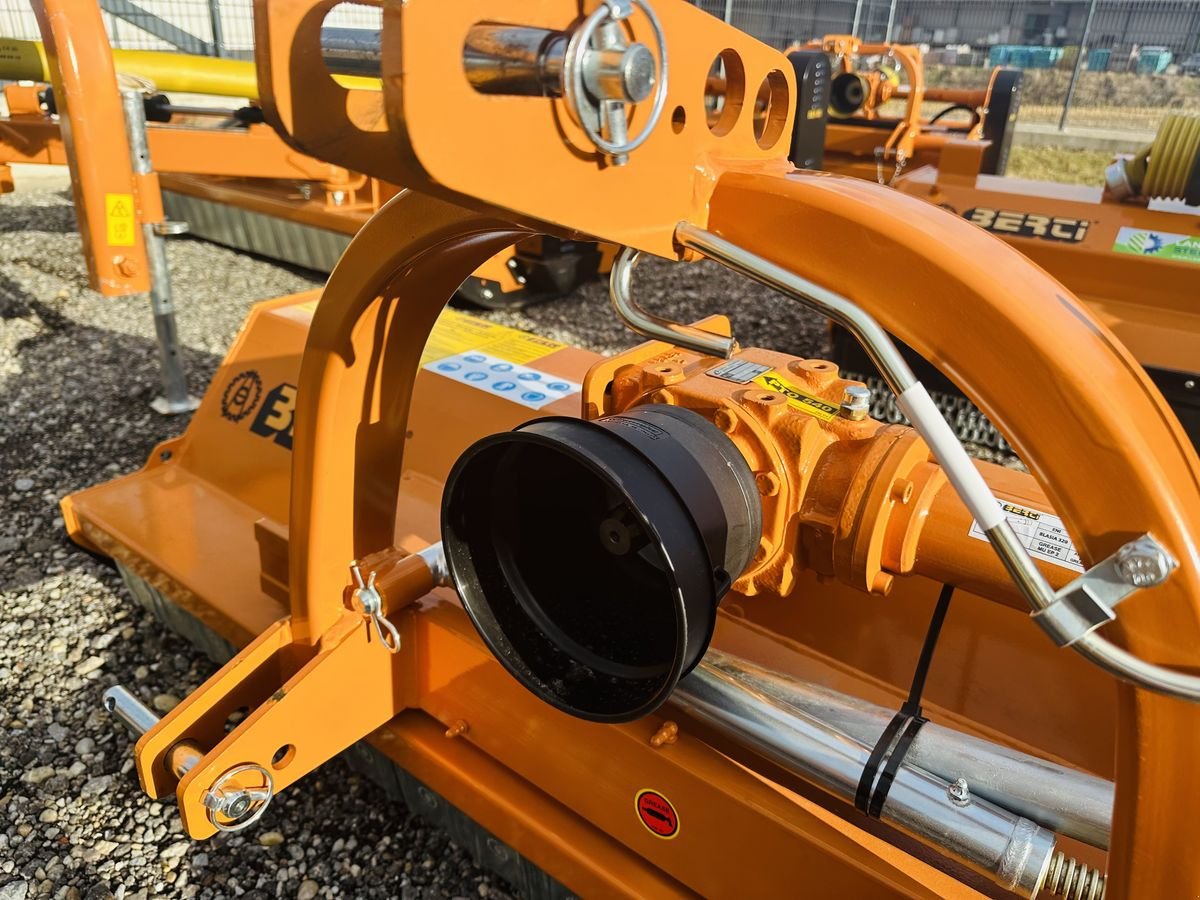 Mulchgerät & Häckselgerät del tipo Berti Park/P 160 Mulcher, Neumaschine In Hohenruppersdorf (Immagine 5)
