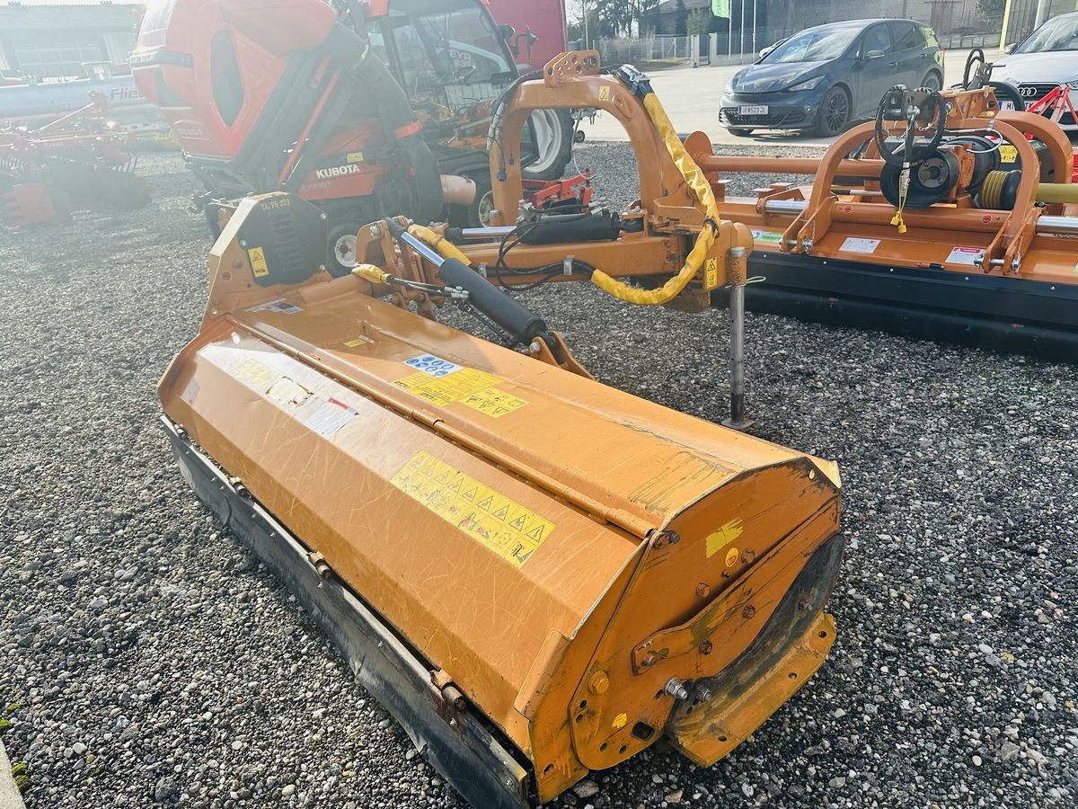 Mulchgerät & Häckselgerät typu Berti TA/PS 220 Böschungsmulcher, Gebrauchtmaschine v Hohenruppersdorf (Obrázek 7)