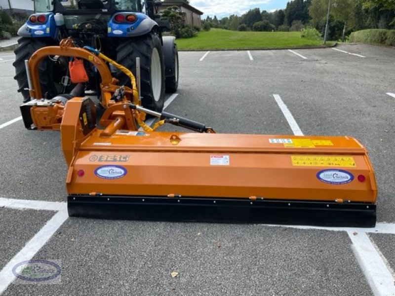 Mulchgerät & Häckselgerät of the type Berti TA/PS 250, Neumaschine in Münzkirchen (Picture 5)