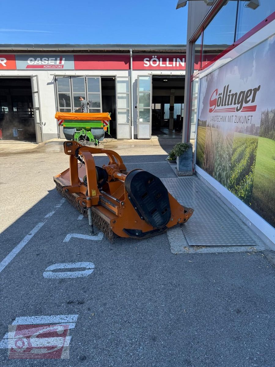 Mulchgerät & Häckselgerät типа Berti TBFM 300, Gebrauchtmaschine в Offenhausen (Фотография 4)