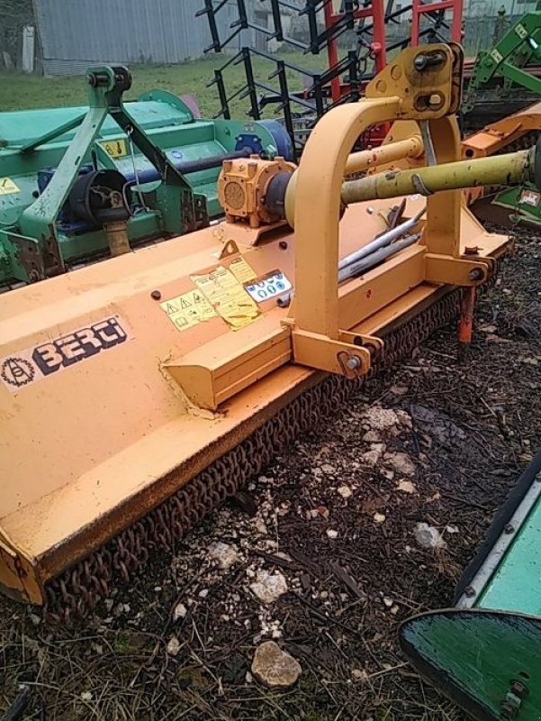 Mulchgerät & Häckselgerät typu Berti TBM/S270, Gebrauchtmaschine v NANTEY (Obrázek 1)
